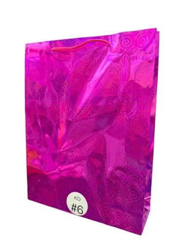 BOLSA HOLOGRAMADA ECONOMICA