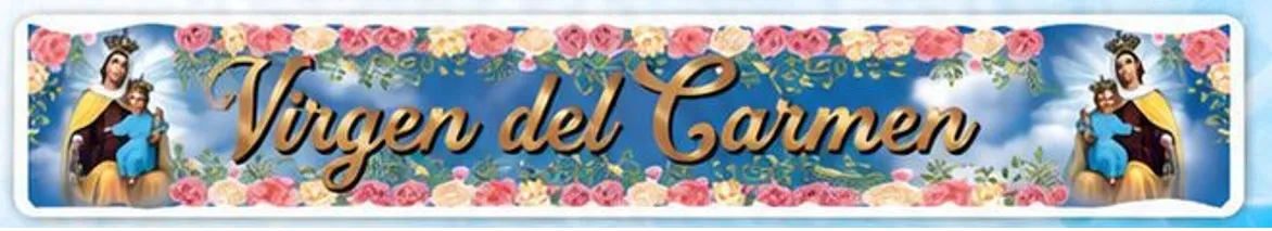 BANNER ANCHO VIRGEN DEL CARMEN